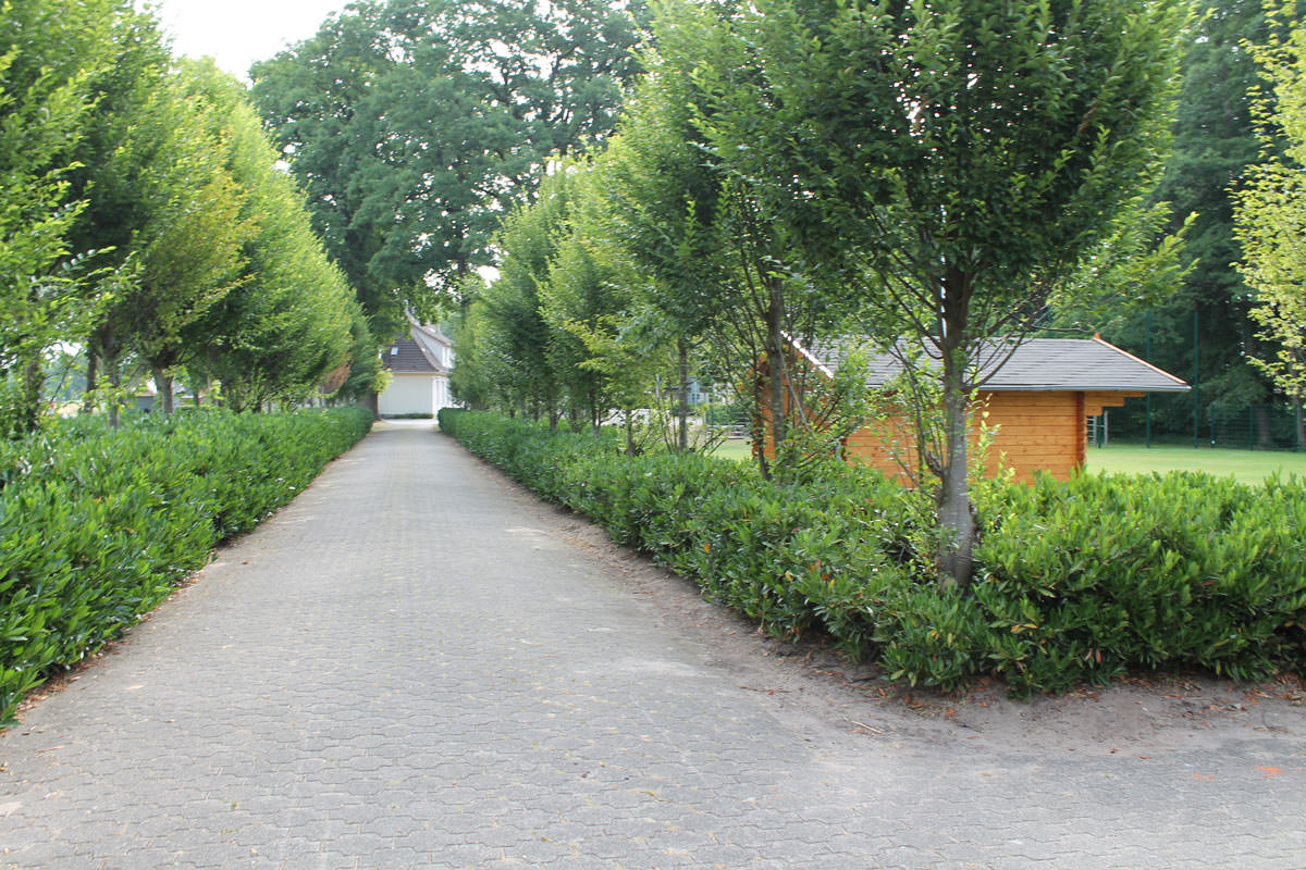 Gelände mit Rasenplatz in Kölkebeck